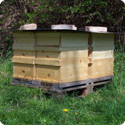 ökologisch geführten Bienenstände